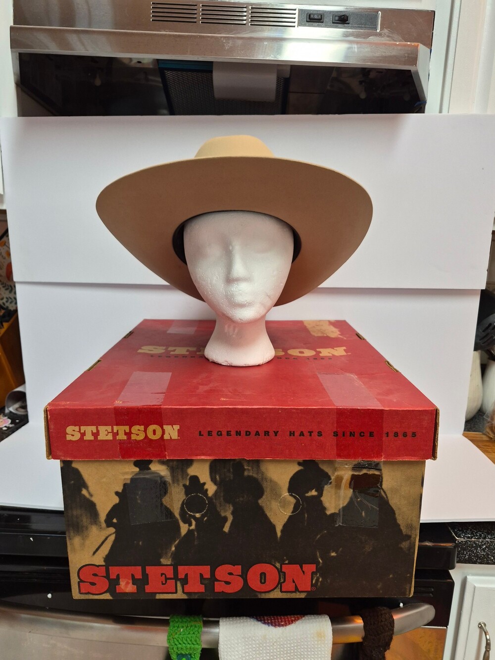 Stetson Cowboy Hat Light Tan Felt Wide Brim Western Style